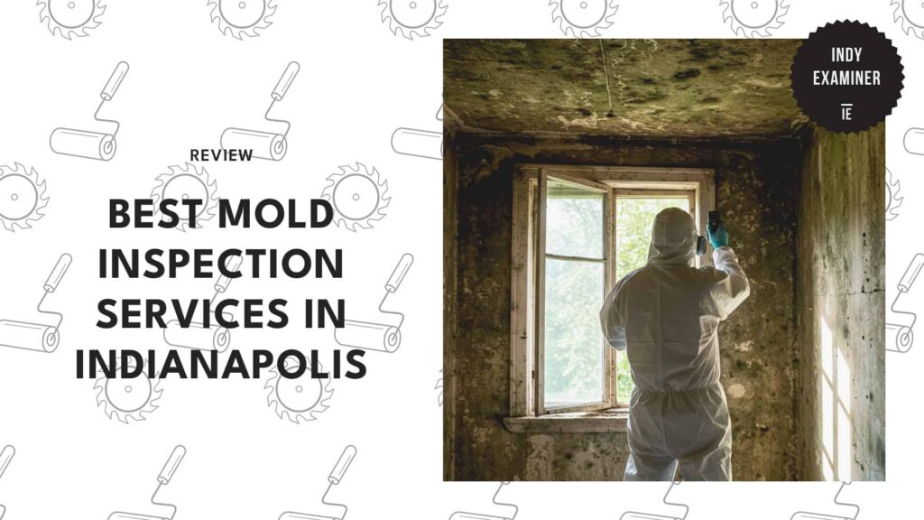 The 5 Indianapolis Mold Inspectors We Depend On [2026]