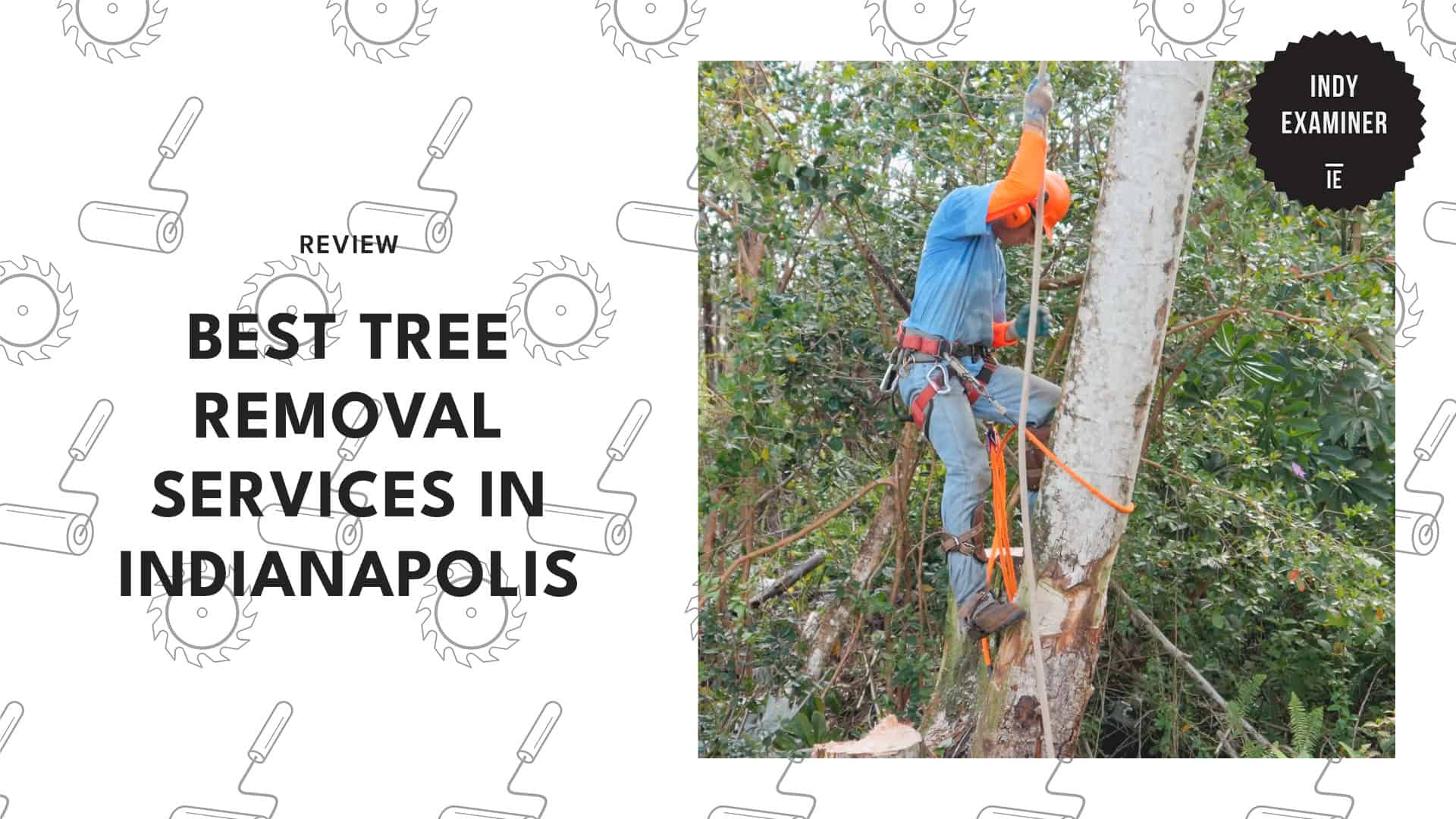 best-tree-removal-contractors-indianapolis-banner