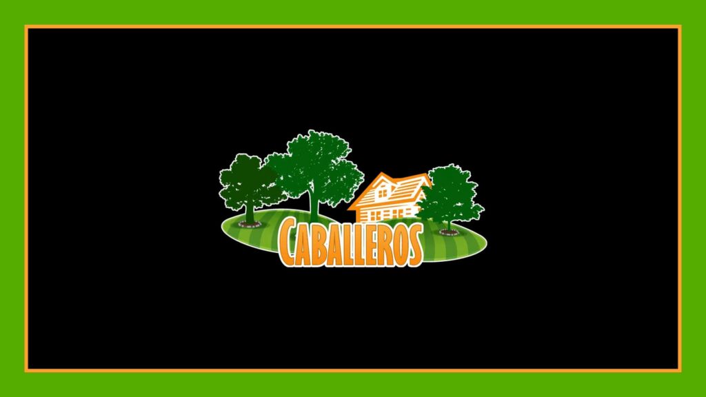 caballero-s-landscaping-llc