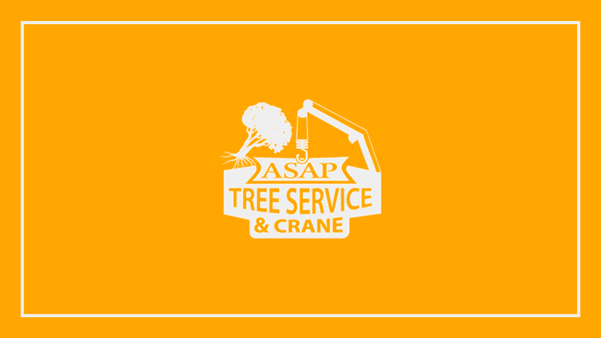 5 Best Tree Services in Indianapolis for Quality Care [2026]