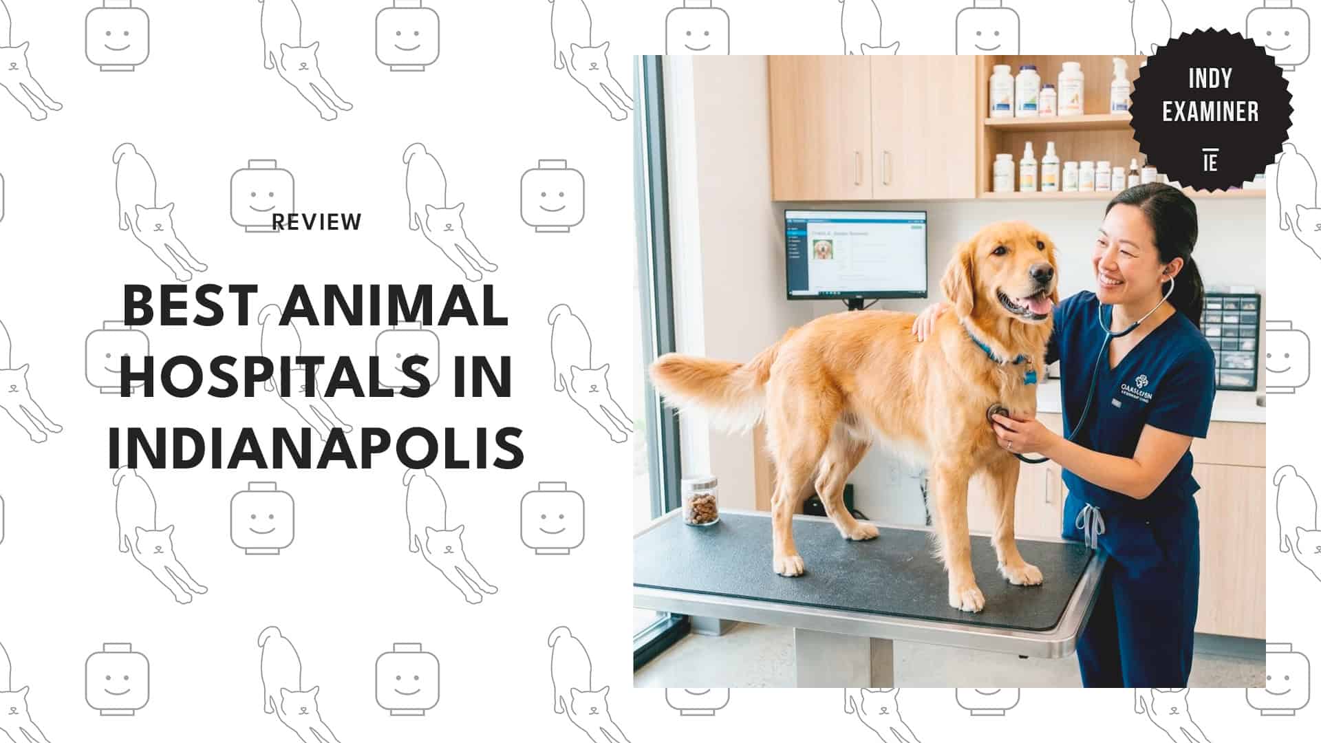 best-animal-hospitals-indianapolis