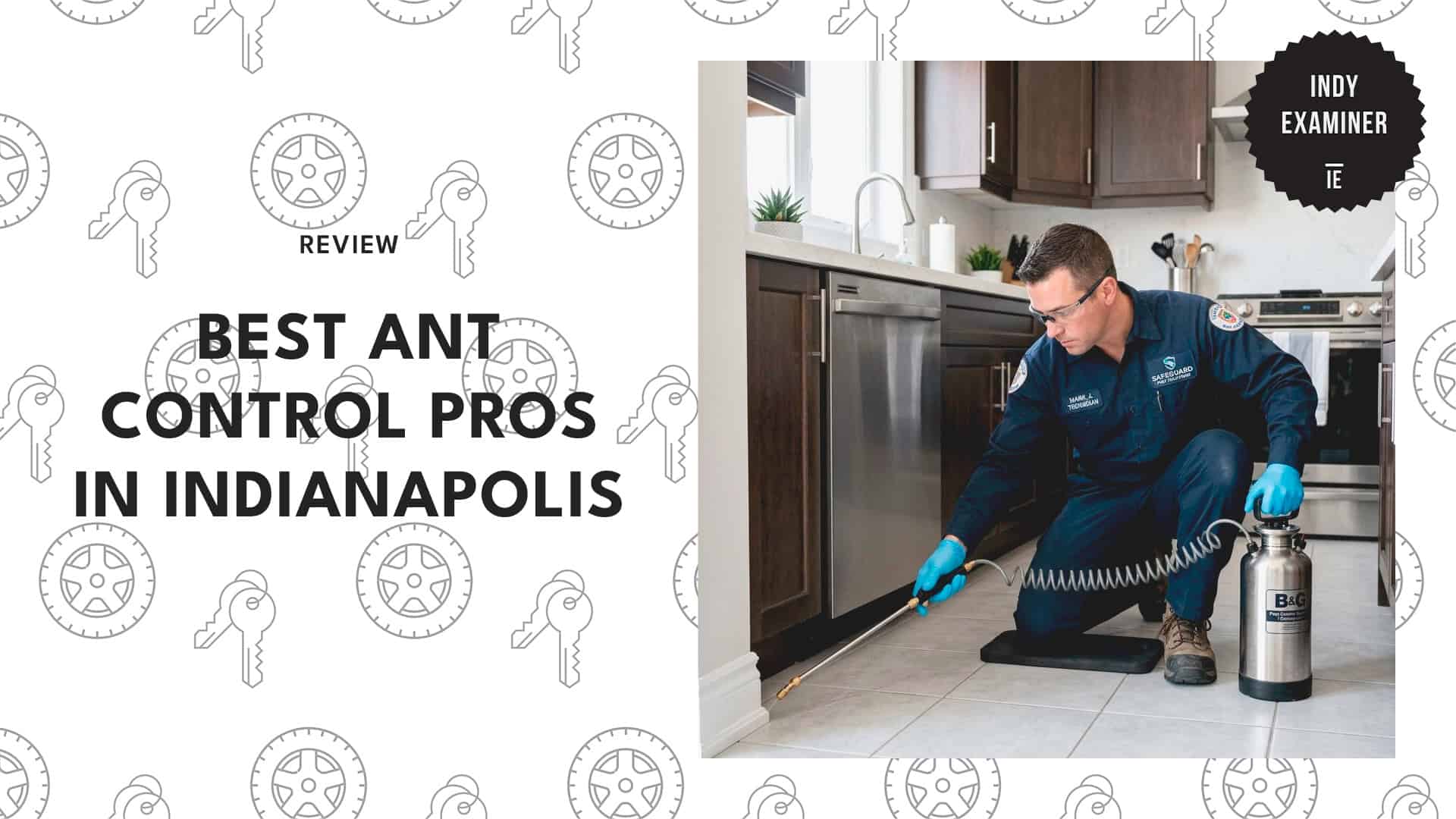 best-ant-control-indianapolis-banner