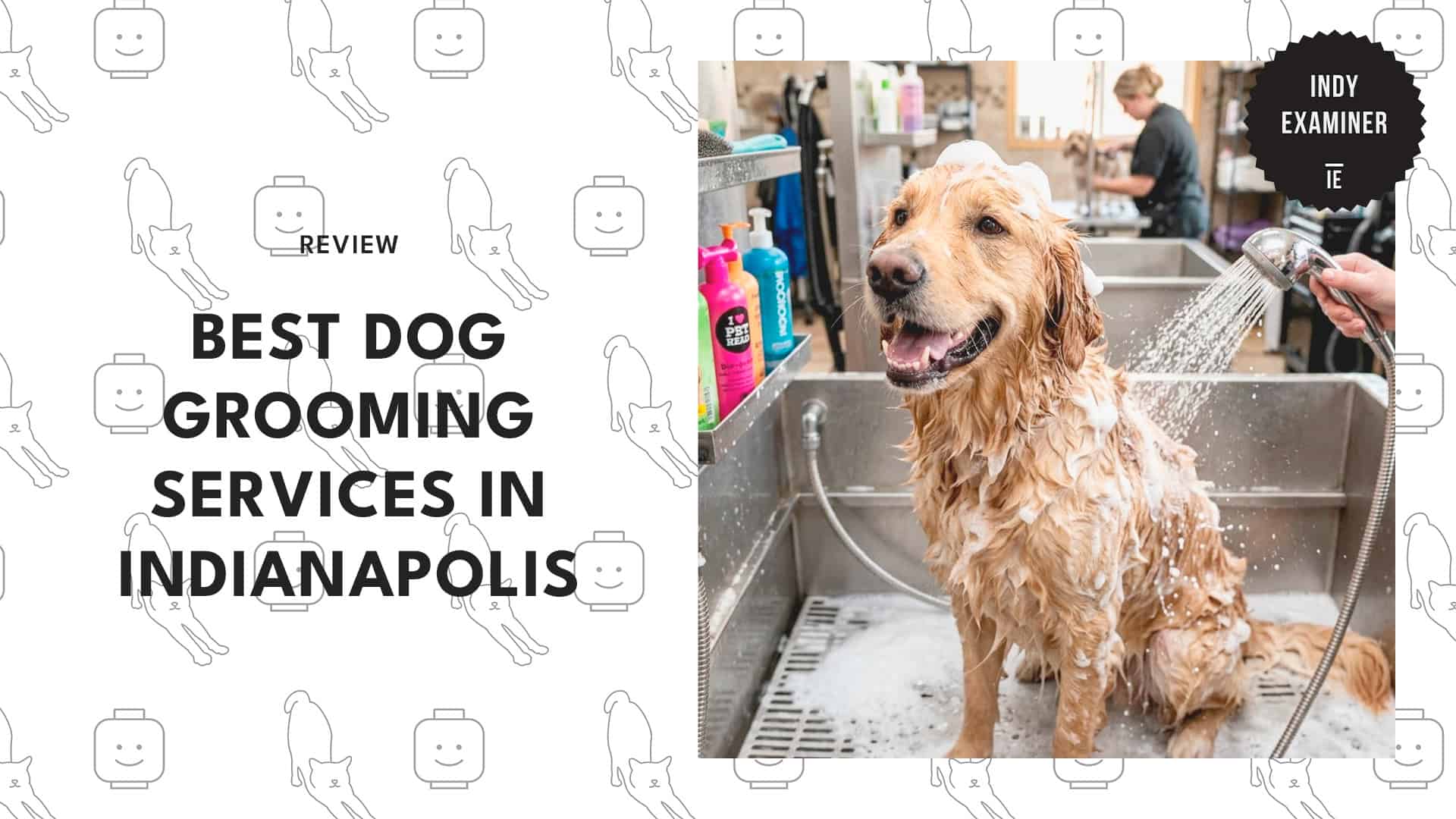 best-dog-grooming-indianapolis-banner