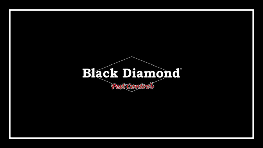 black-diamond-pest-control-logo