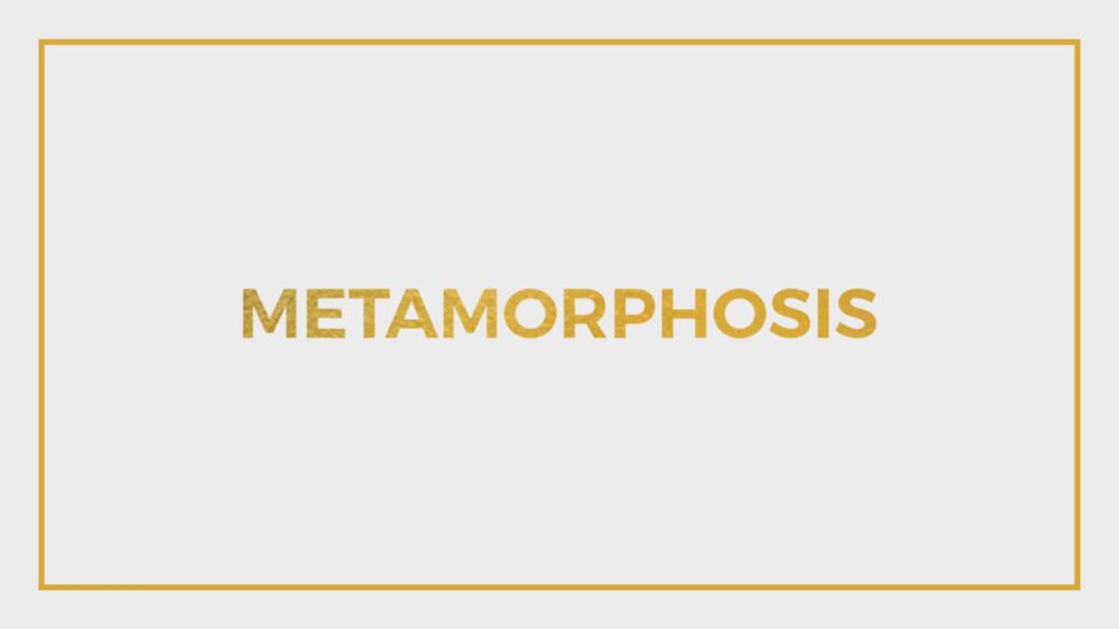 metamorphosis