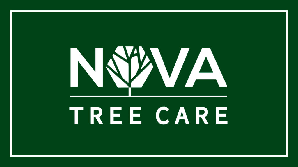nova-tree-care-logo