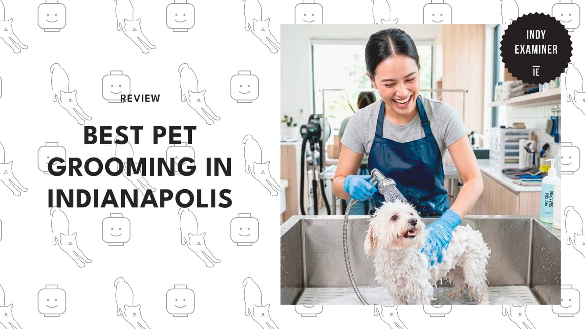 pet-grooming-in-indianapolis