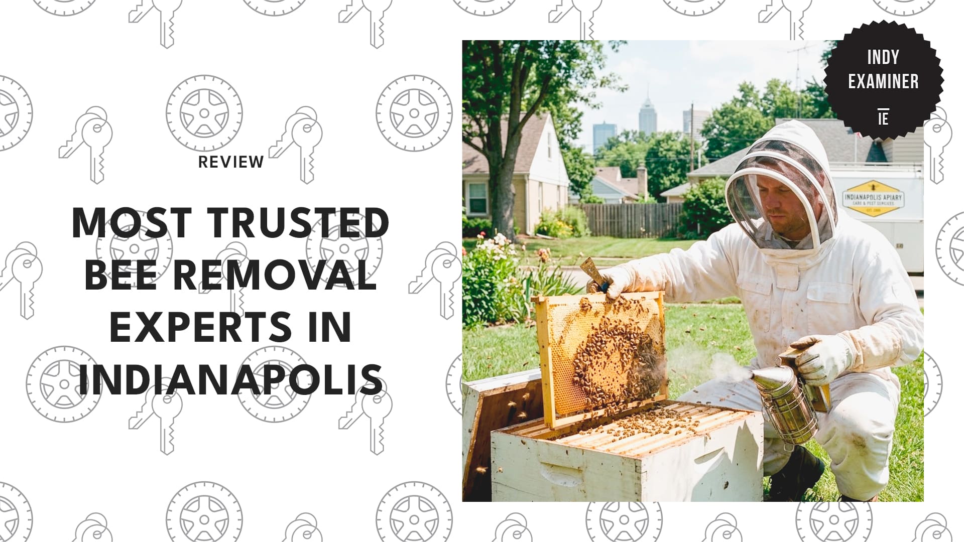 best-bee-removal-indianapolis