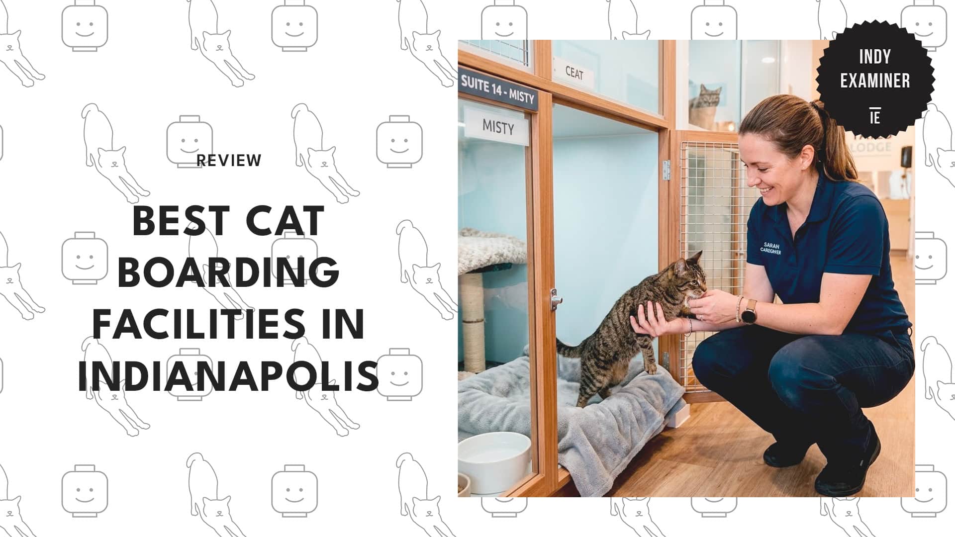 best-cat-boarding-indianapolis