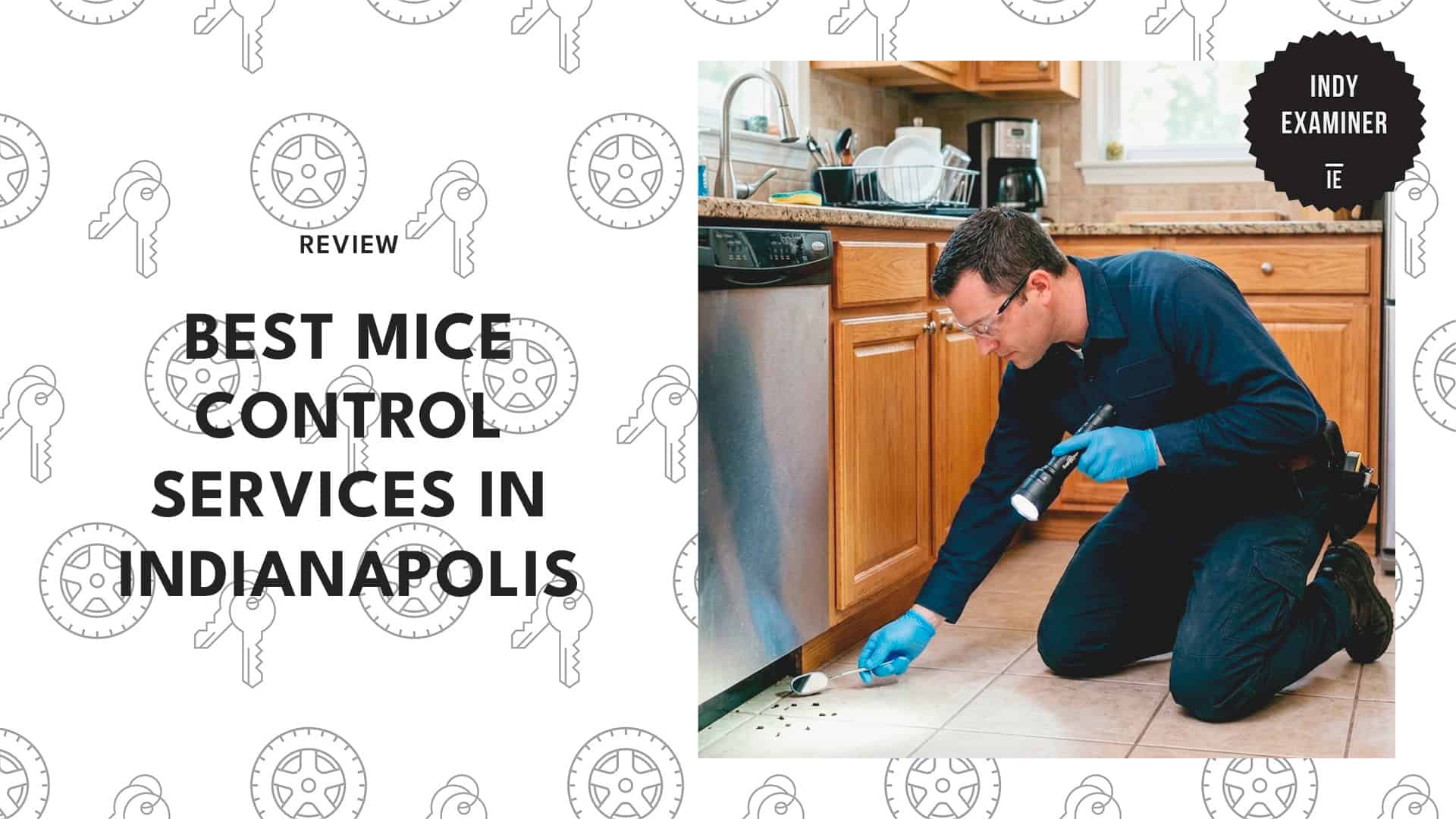 best-mice-control-indianapolis-banner