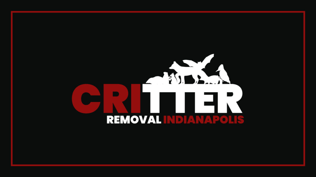 critter-removal-indianapolis-logo