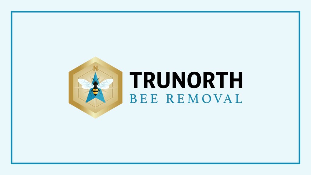 trunorth-bee-removal