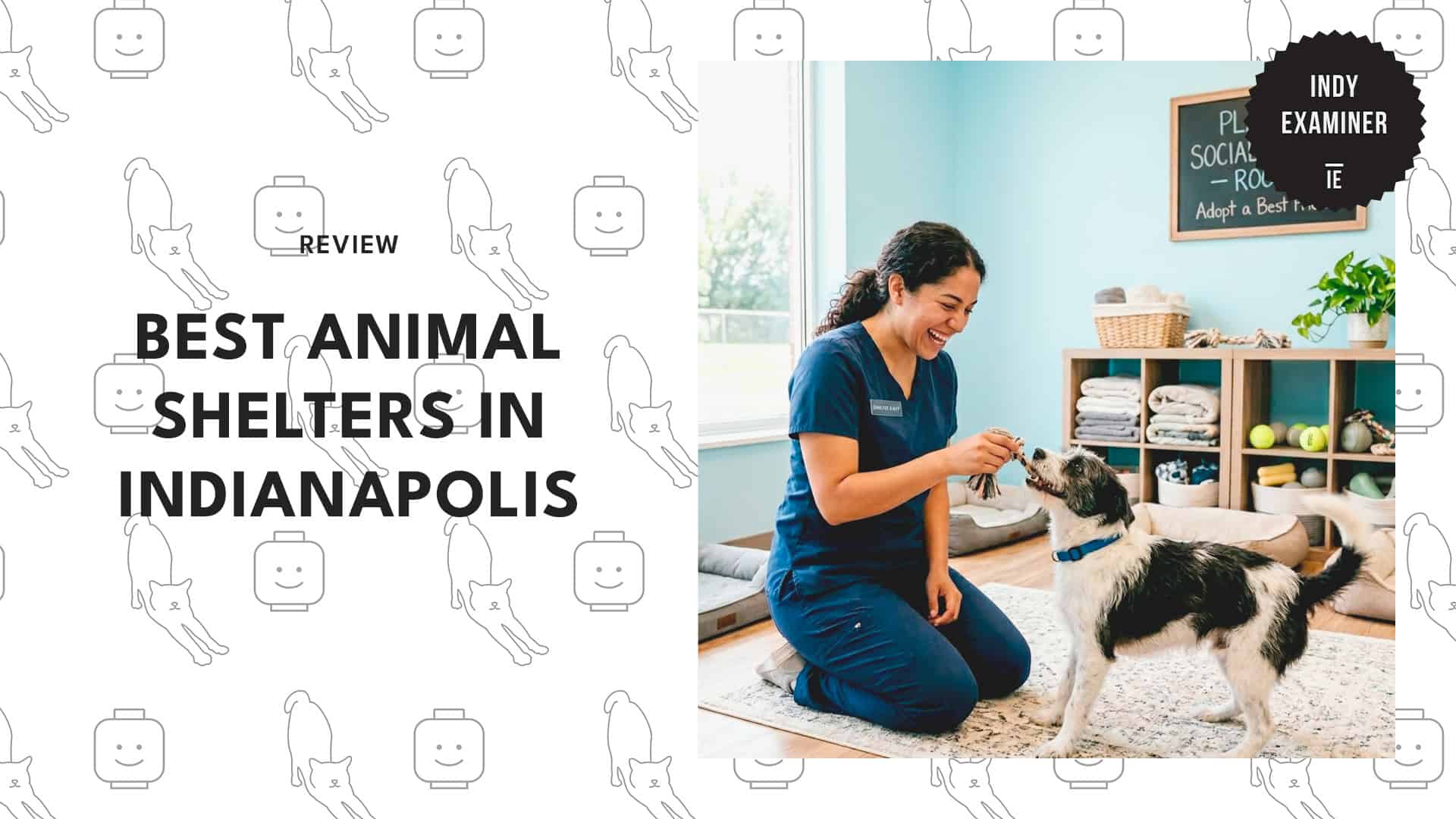 animal-shelters-in-indianapolis
