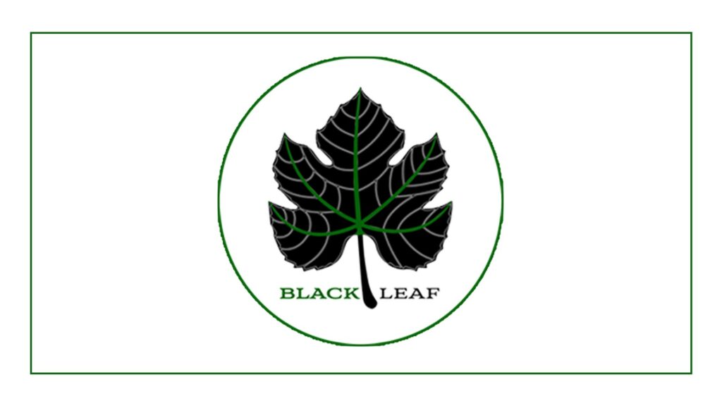 black-leaf-vegan-cafe-logo