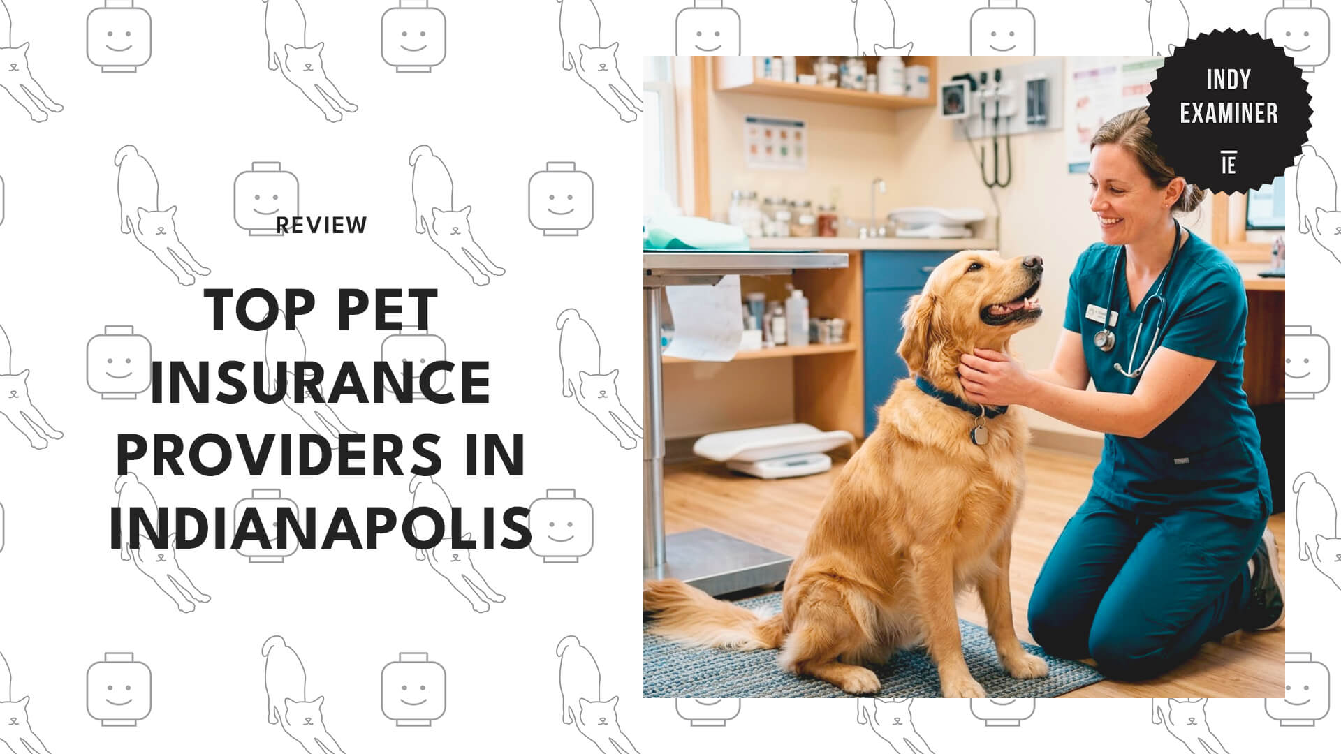 top-pet-insurance-indianapolis-banner