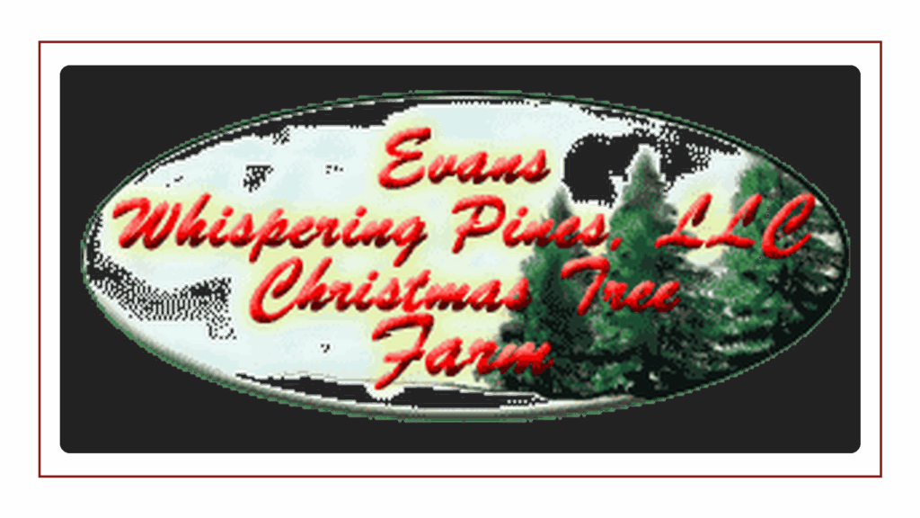 evans-whispering-pines-llc-christmas-tree-farm