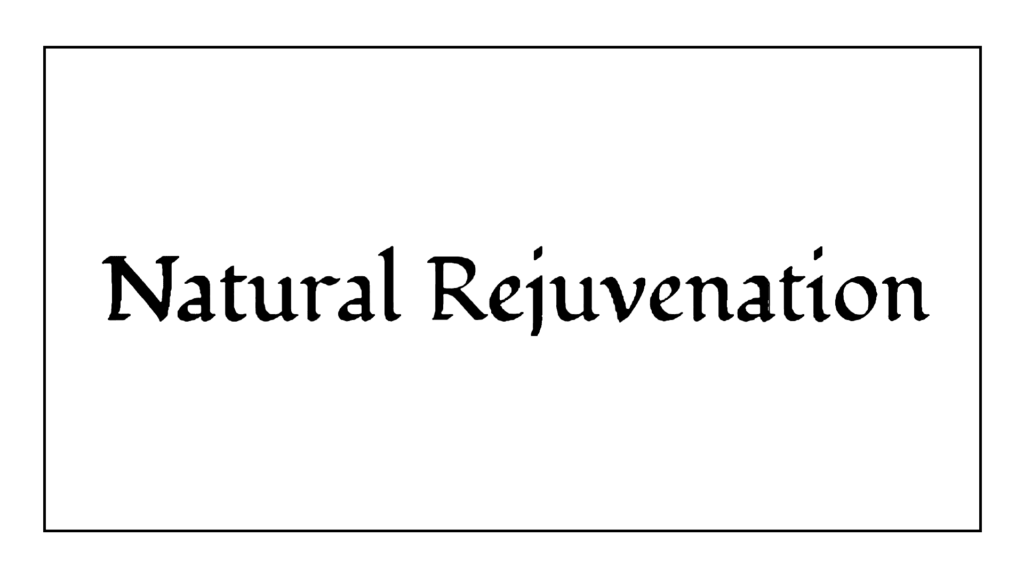 natural-rejuvenation-inc