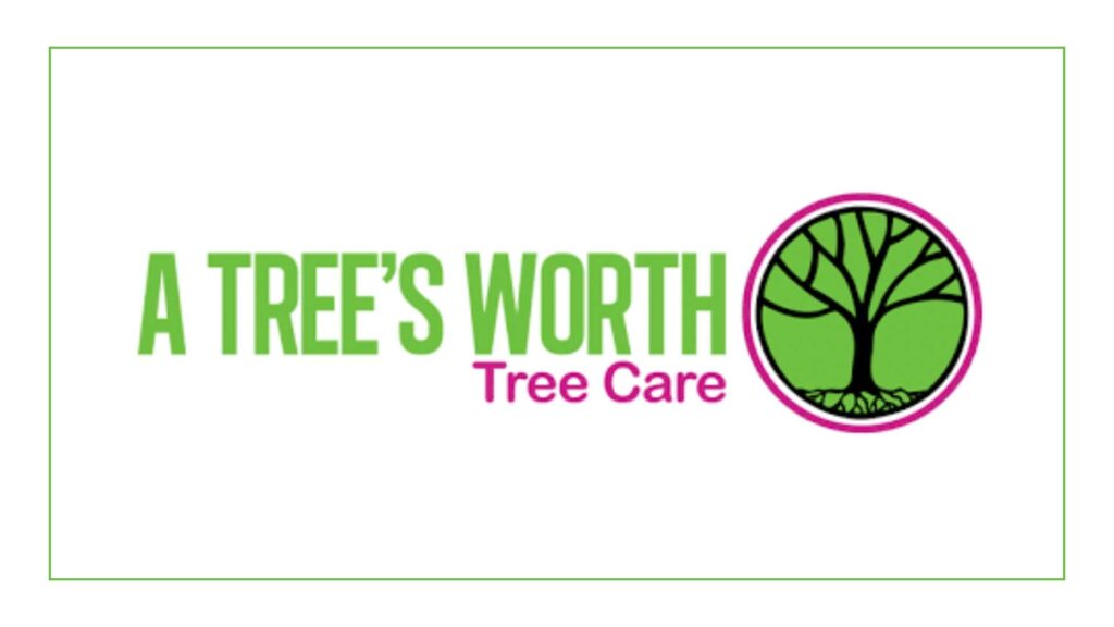 a-trees-worth-tree-care