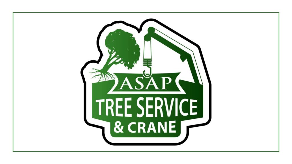 asap-tree-and-crane-services