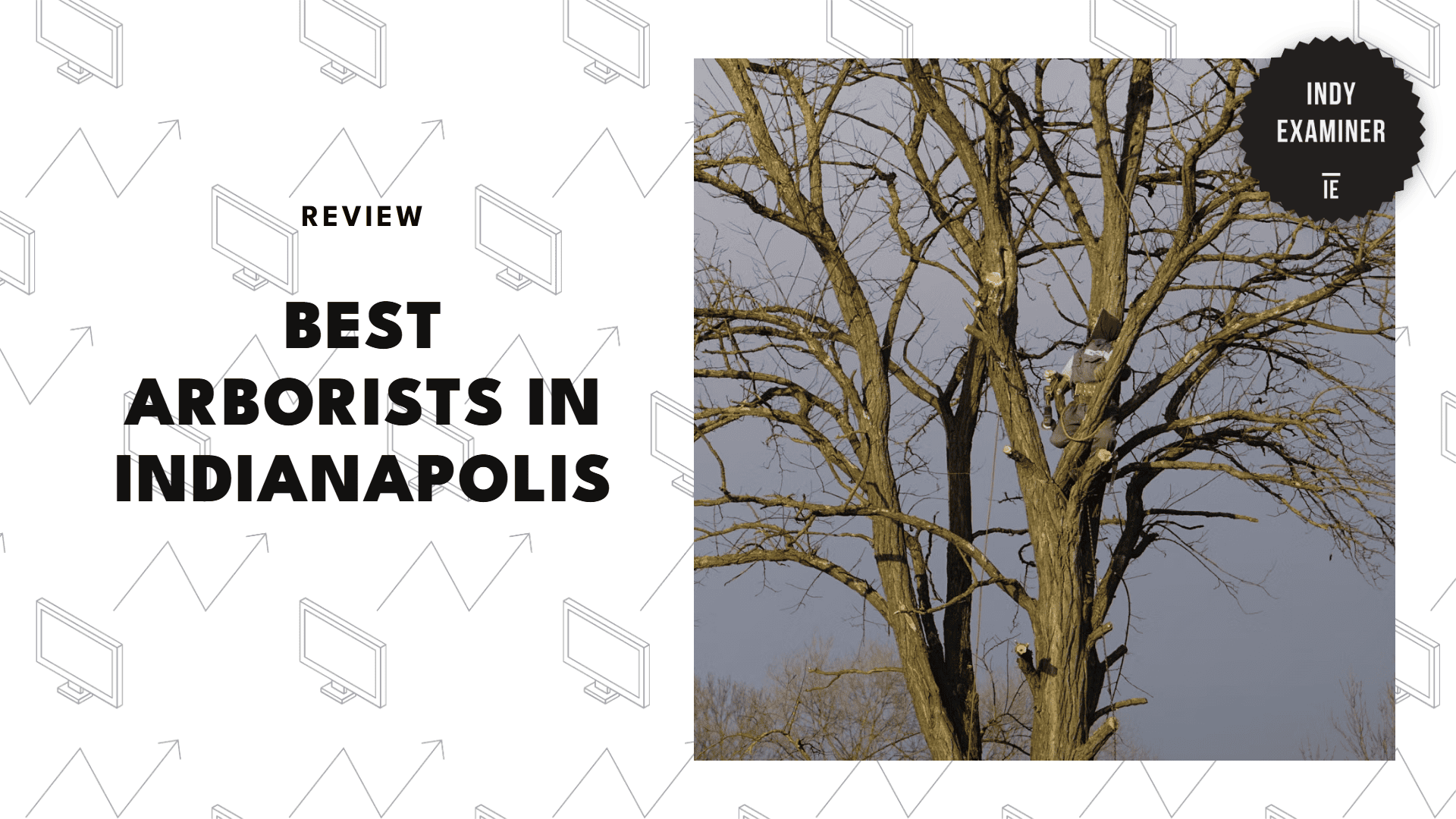 best-arborist-indianapolis