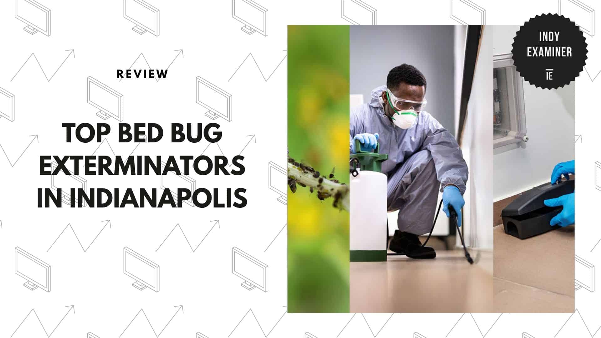 best-bed-bug-exterminator-indianapolis