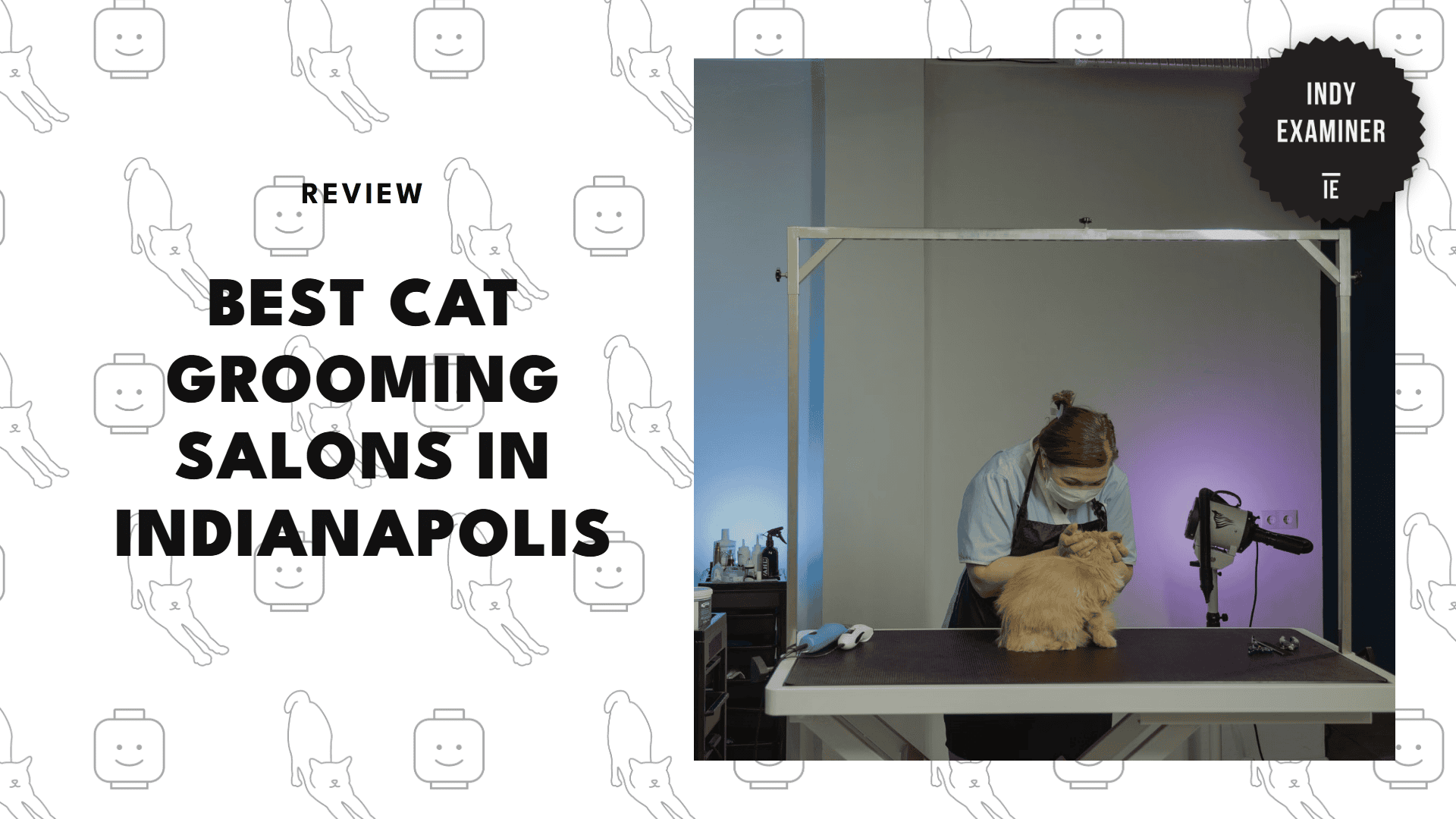 best-cat-grooming-salons-indianapolis