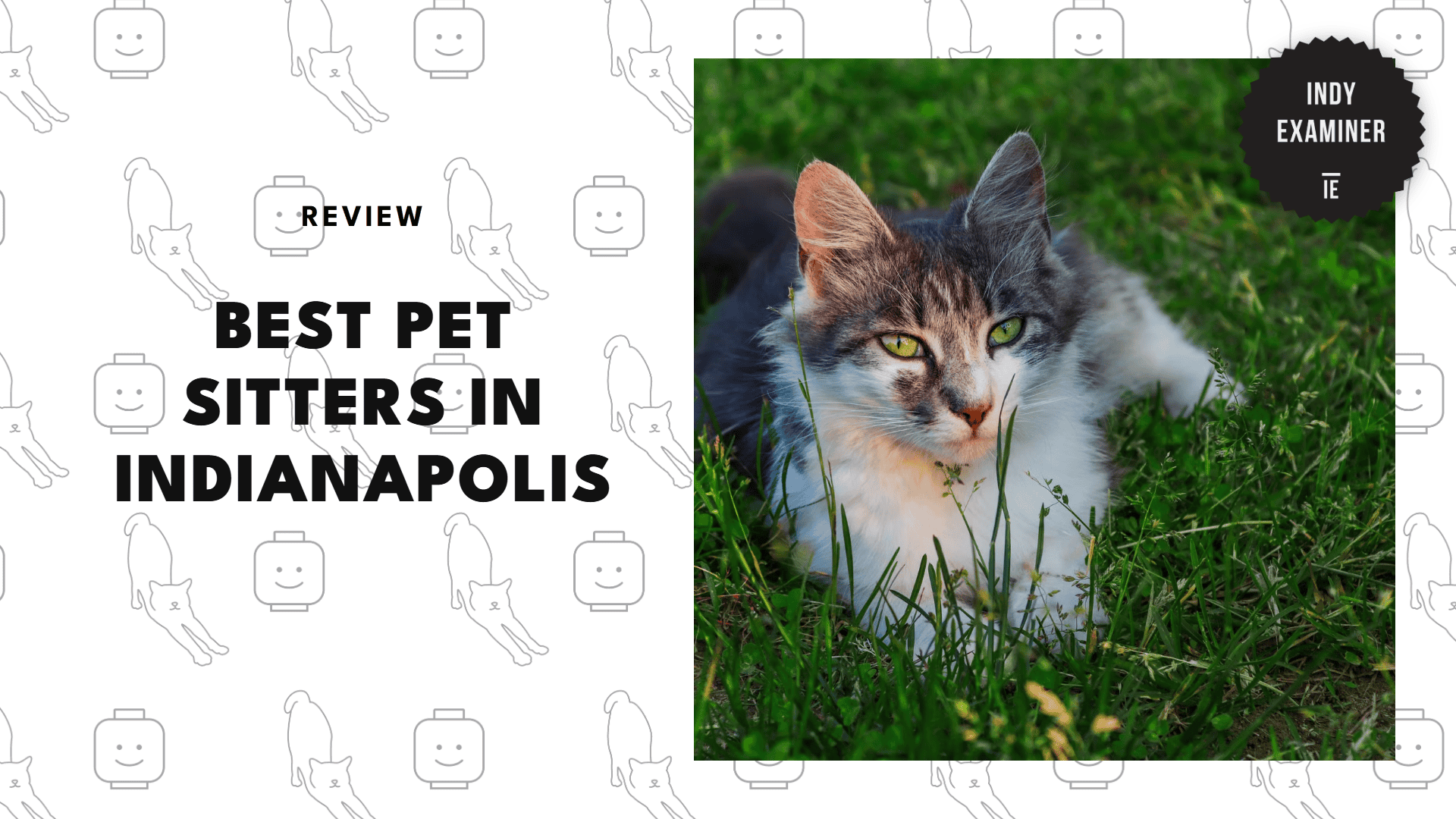best-pet-sitter-indianapolis