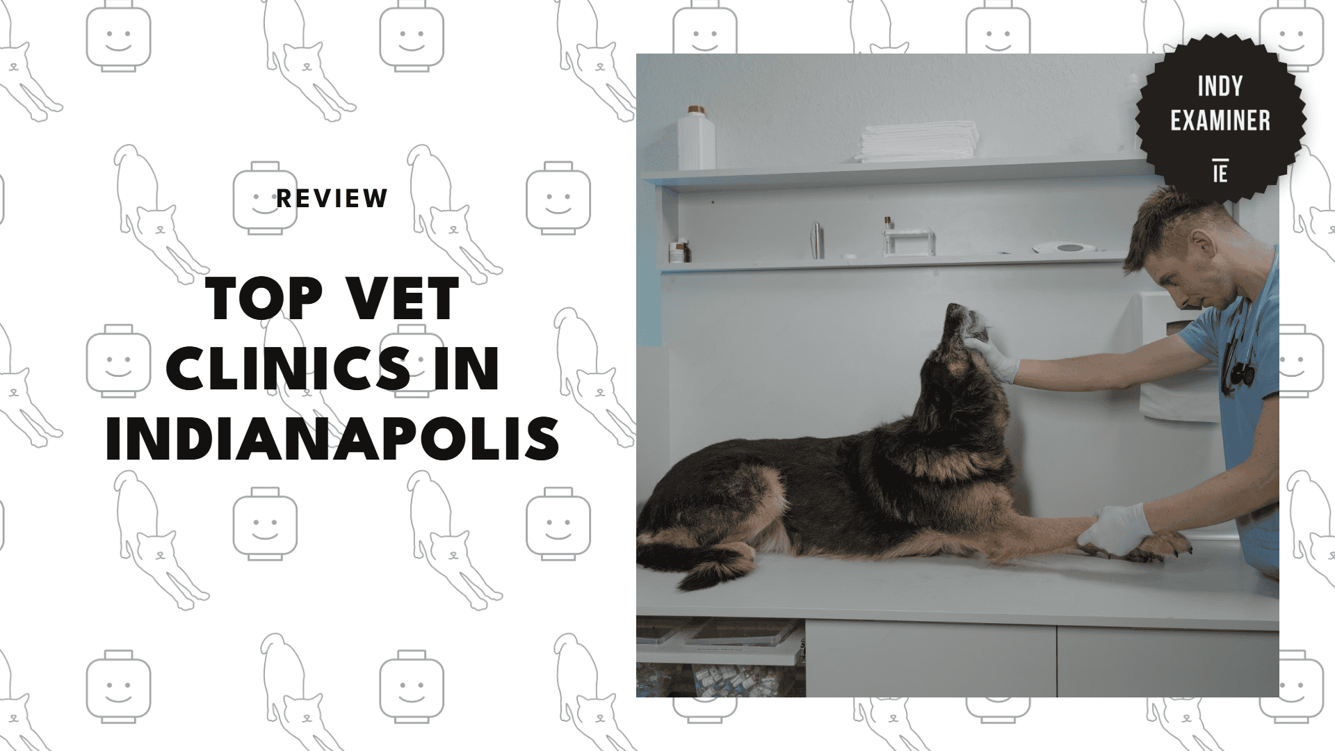 best-vet-indianapolis