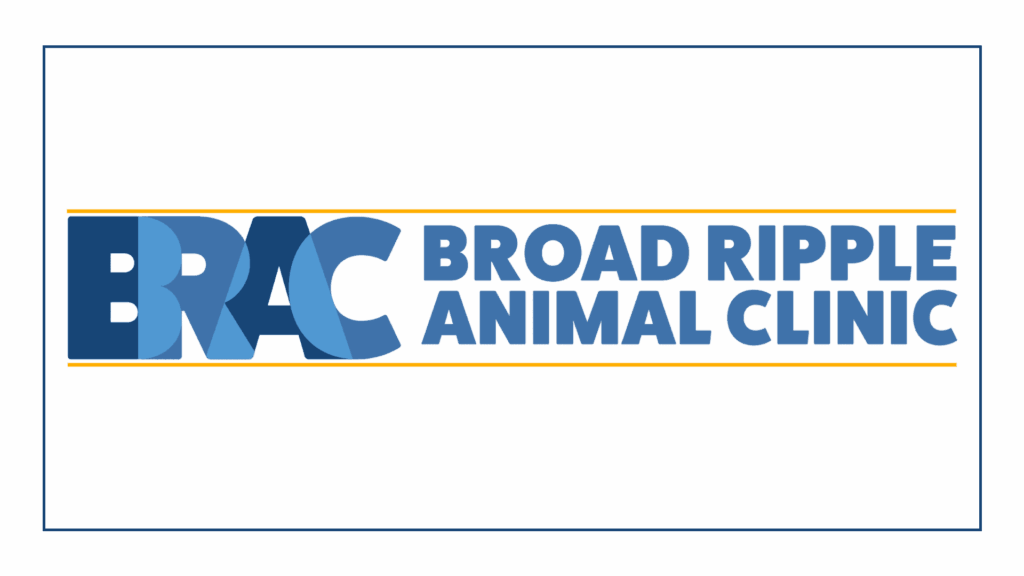 broad-ripple-animal-clinic