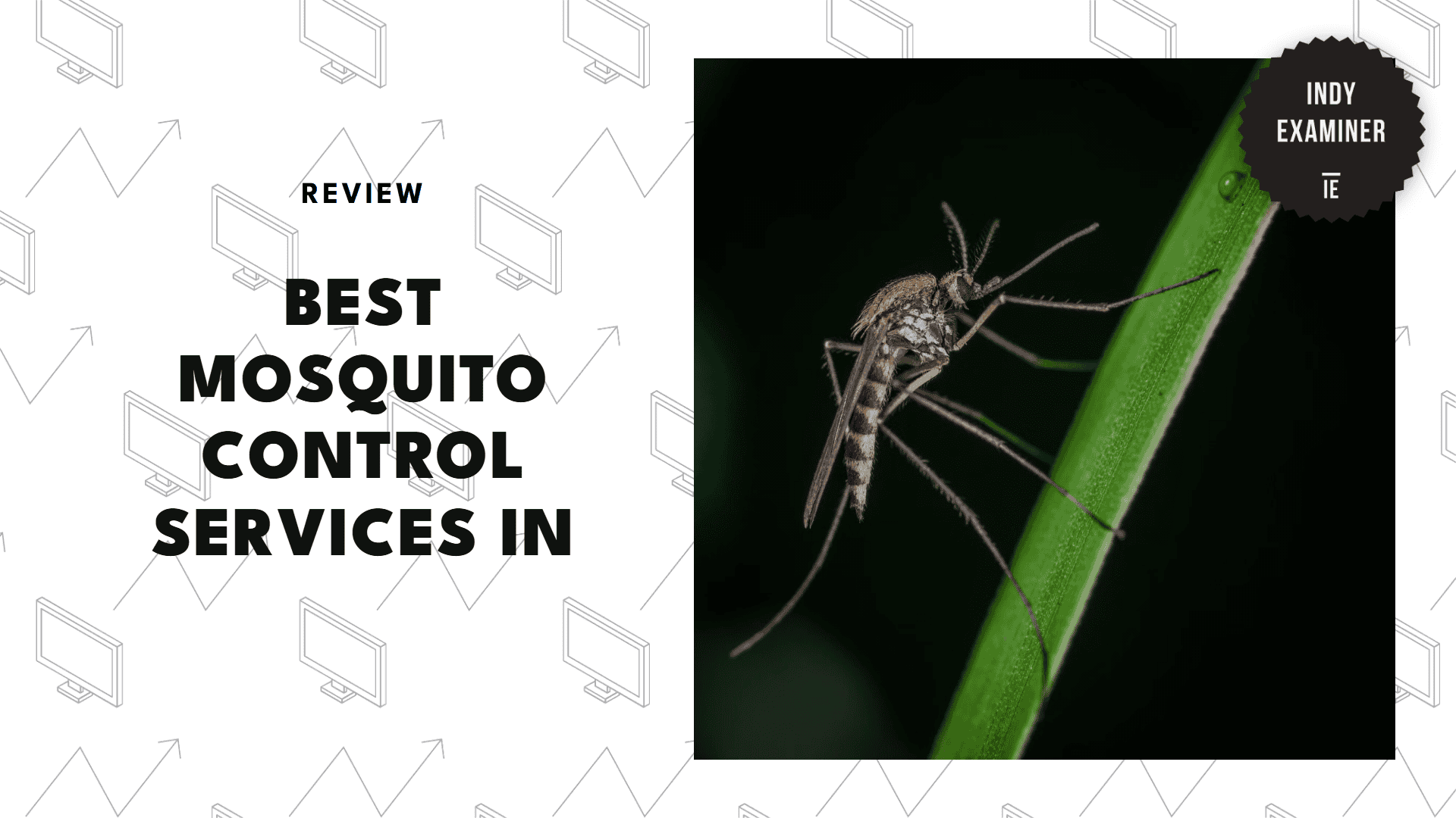 mosquito-control-in-indianapolis