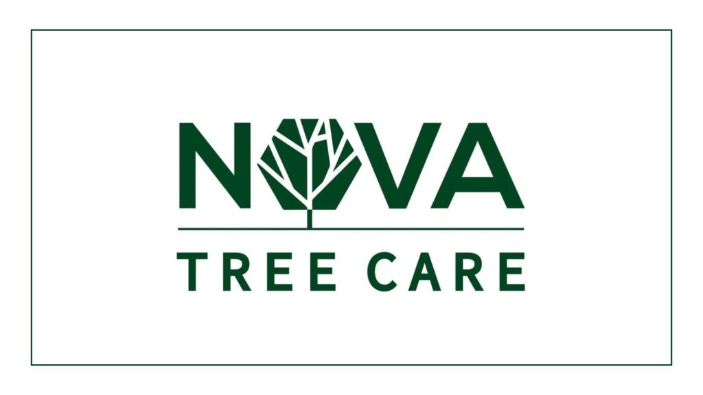 nova-tree-care
