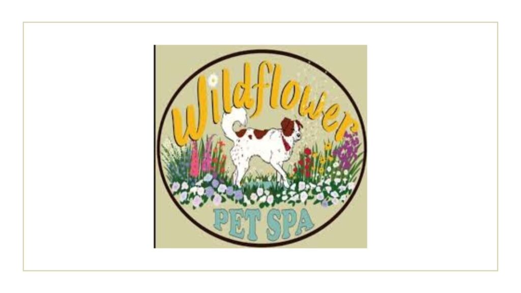 wildflower-pet-spa